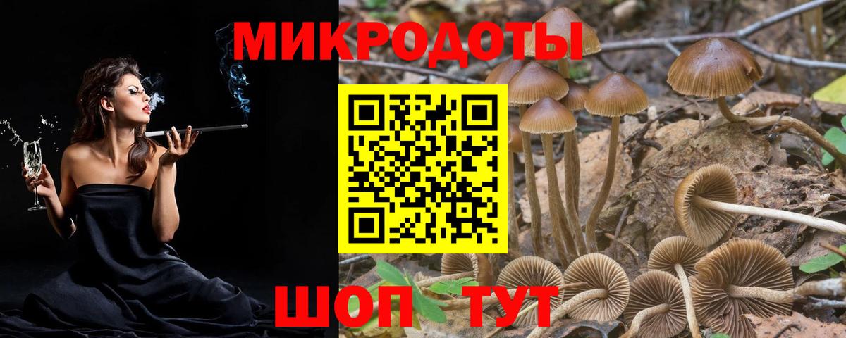 Костомукша  Псилоцибиновые грибы Magic Shrooms  Вход с VPN 